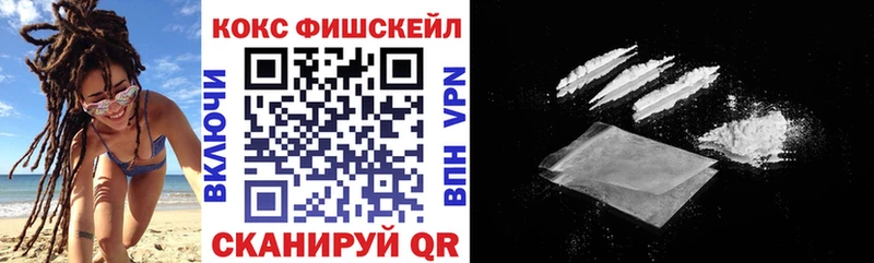 нарко площадка наркотические препараты  omg маркетплейс  Волхов  Кокаин FishScale 