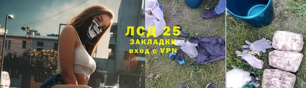 прущие крисы Аркадак