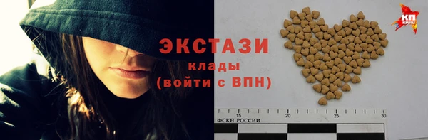 тгк Снежногорск
