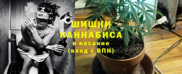 экстази Арсеньев