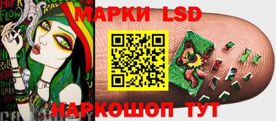 стаф Гудермес