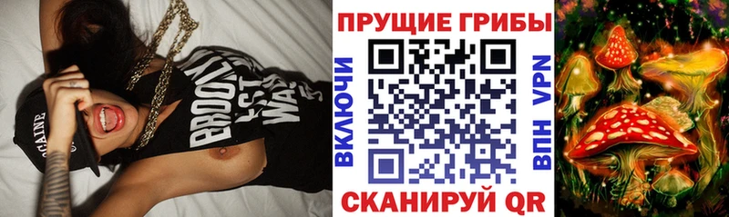 Псилоцибиновые грибы Psilocybe  даркнет сайт  darknet Telegram  Волхов 