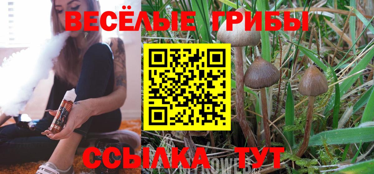 Псилоцибиновые грибы Psilocybe Волхов