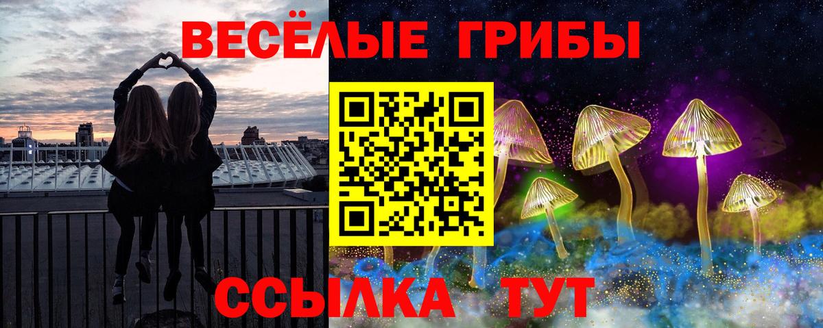 Псилоцибиновые грибы Psilocybine cubensis  Вход с VPN  Волхов 